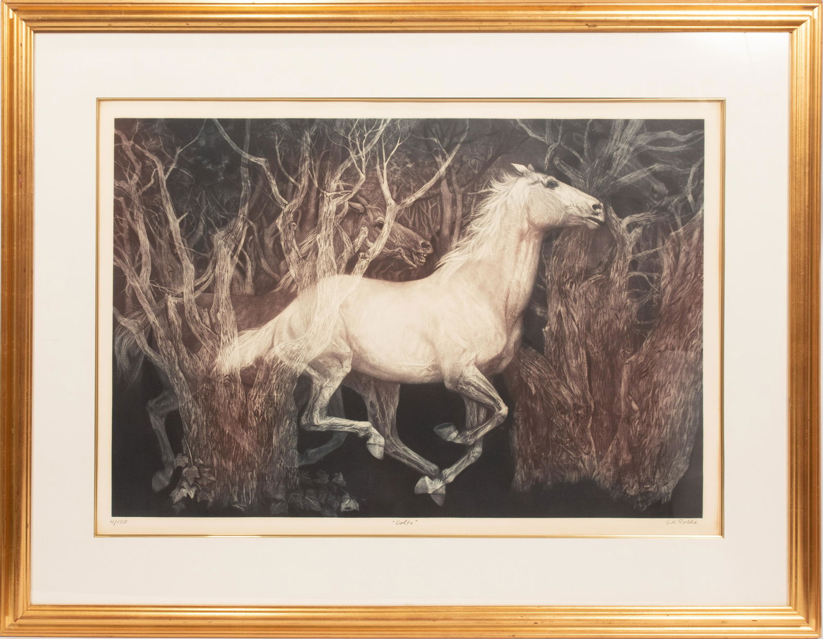 GATJA H. ROTHE, 1935, GERMANY, MEZZOTINT H 23" W 35" (1 of 5)