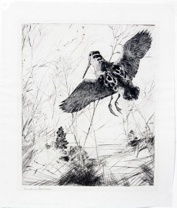 FRANK BENSON DRYPOINT, 11 1/2" X 9 1/2", 1930: FRANK BENSON, DRYPOINT, 11 1/2" X 9 1/2", 1930, "WOODCOCK":Paff 292; unframed.