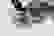 item-102230081=2