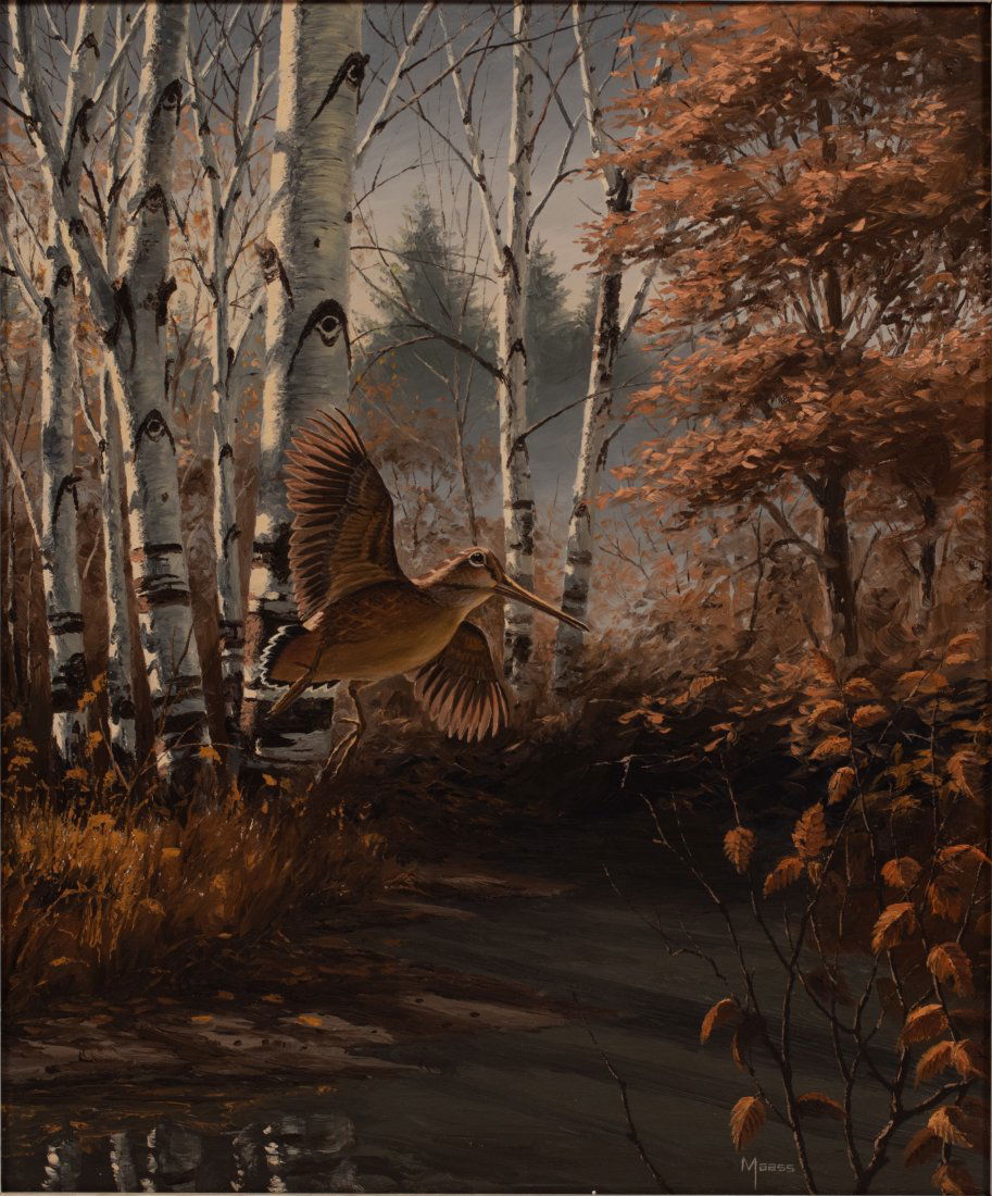 DAVID MAASS, B 1929, MINN. OIL ON MASONITE H 24" W 20": DAVID MAASS, B 1929, MINN. OIL ON MASONITE H 24" W 20" "WOODCOCK" Signed. artist and wildlife illustrator. Received "Artist of the Year" award five times by Ducks Unlimited. Original letter on file fr