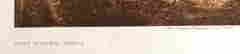 item-117382006=2