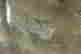 item-120142161=7