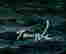 item-120143963=2