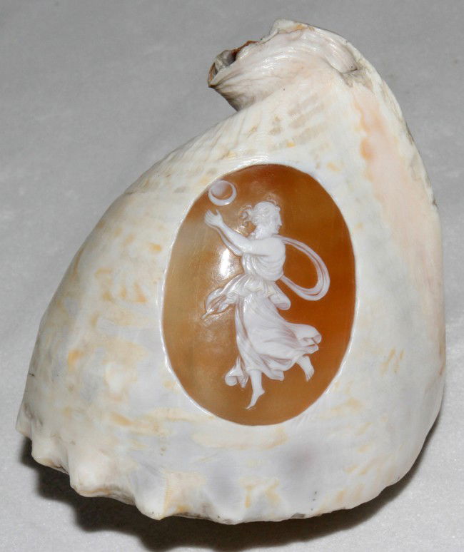 CAMEO-CARVED CONCH SHELL, H 4": CAMEO-CARVED CONCH SHELL, H 4":Carved in cameo with a classical style female figure. From the Estate of Pearl McKenney, Grosse Pointe Farms.