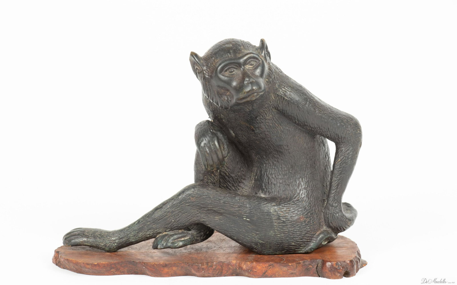 BRONZE SCULPTURE H 5.7" L 7" SEATED MONKEY: BRONZE SCULPTURE H 5.7" L 7" SEATED MONKEY Black patina. Monkey with leg extended. Separate burl wood base.