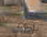 item-127883483=2