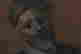 item-131583379=3