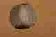 item-131583379=5