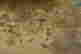 item-131583394=4
