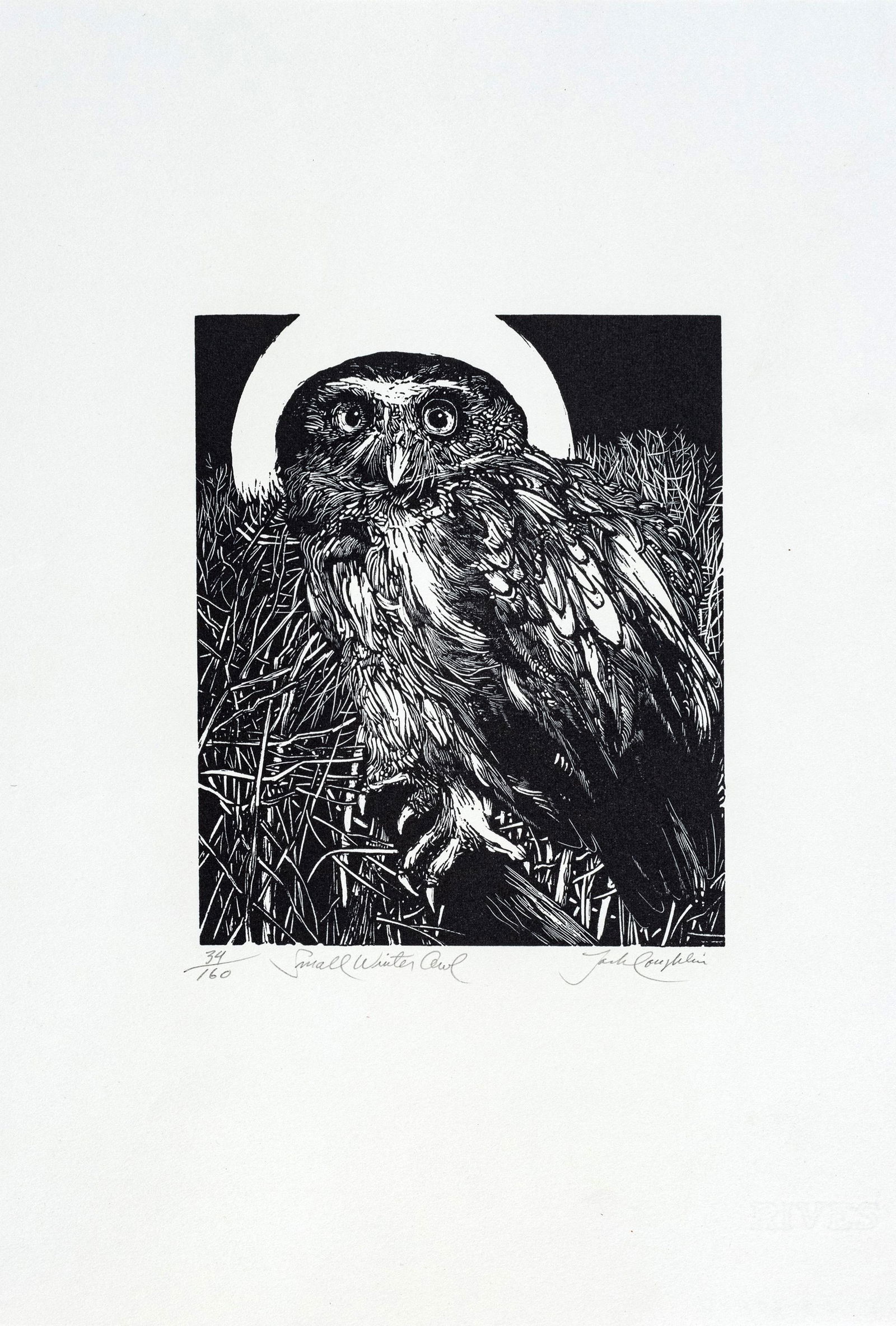 JACK COUGHLIN (AMERICAN, B. 1932) ETCHING ON WOVE PAPER, SMALL WINTER OWL (1 of 2)