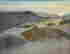 item-131583581=2