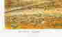 item-131583643=3