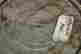 item-131583649=3