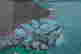 item-131583677=5