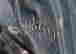 item-131583811=3