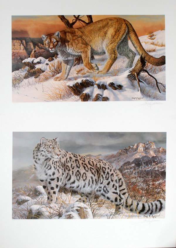 GARY SWANSON, OFFSET LITHOGRAPHS, 2, 16" X 26": GARY SWANSON, OFFSET LITHOGRAPHS, 2, 16" X 26", WILD CATS: AMERICAN B. 1941:Lot includes: "Fresh Tracks", 251/300 and "Snow Leopard, Asian Plateau", 257/300. Pencil signed; unframed.