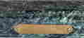 item-134094543=7