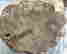 item-134094682=7