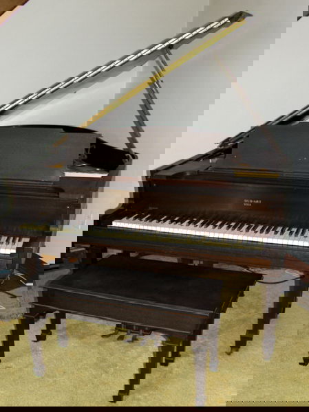 DUO-ART "AEOLIAN" PLAYER PIANO, MUSIC CABINET: DUO-ART, GEO. STECK & CO., N.Y. "AEOLIAN" STYLE PLAYER PIANO, 50+ ROLLS & MUSIC CABINET, C.1920: