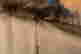 item-137046822=3