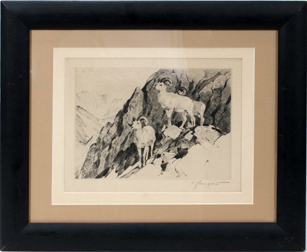 CARL RUNGIUS ETCHING ON PAPER MOUNTED ON BOARD,: CARL RUNGIUS (1869-1959), ETCHING ON PAPER MOUNTED ON BOARD, 7 3/4" X 10 3/4", 'DALL SHEEP':Signed lower right and titled lower left. Matted and framed under glass. Carl Clemens Moritz Rungius, Americ