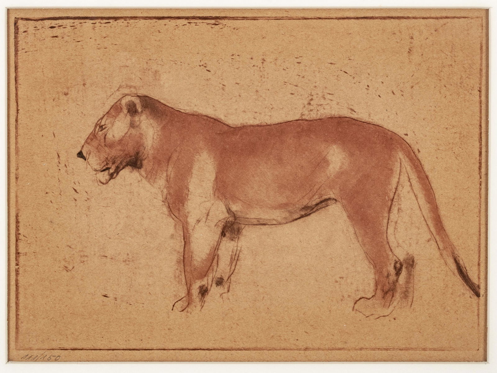 Wilhelm Hermann Krauss  Etching LION "Jahrbuch", H 6'' W 8'' (1 of 6)