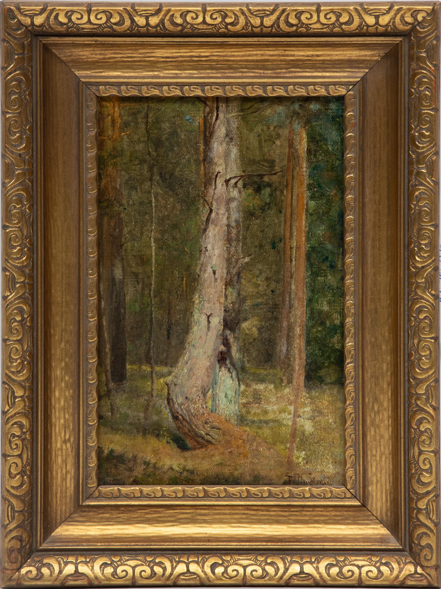 European Oil On Canvas Mounted To Board, C. LATE 19TH/EARLY 20TH C., Forest Lanscape, H 13'' W (1 of 4)