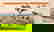 item-1305010=2