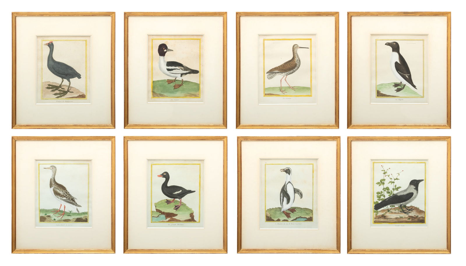 François Nicolas Martinet (French, 1725-1804) Engravings with Hand Coloring on Laid Paper, (1 of 10)