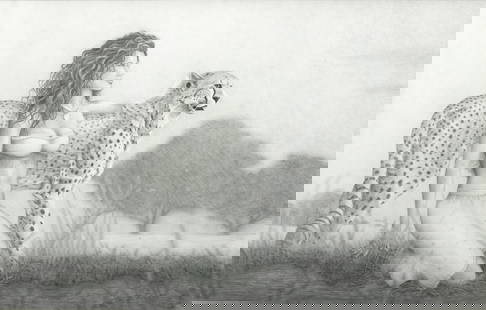 DMR Pencil Drawing on Paper, "Woman with Cheetah", H 20" W 30": DMR Pencil Drawing on Paper, "Woman with Cheetah", H 20" W 30" | Monogrammed lower right. Framed H 23", W 33.65". Provenance: Property from a Bloomfield Township, MI private collection.