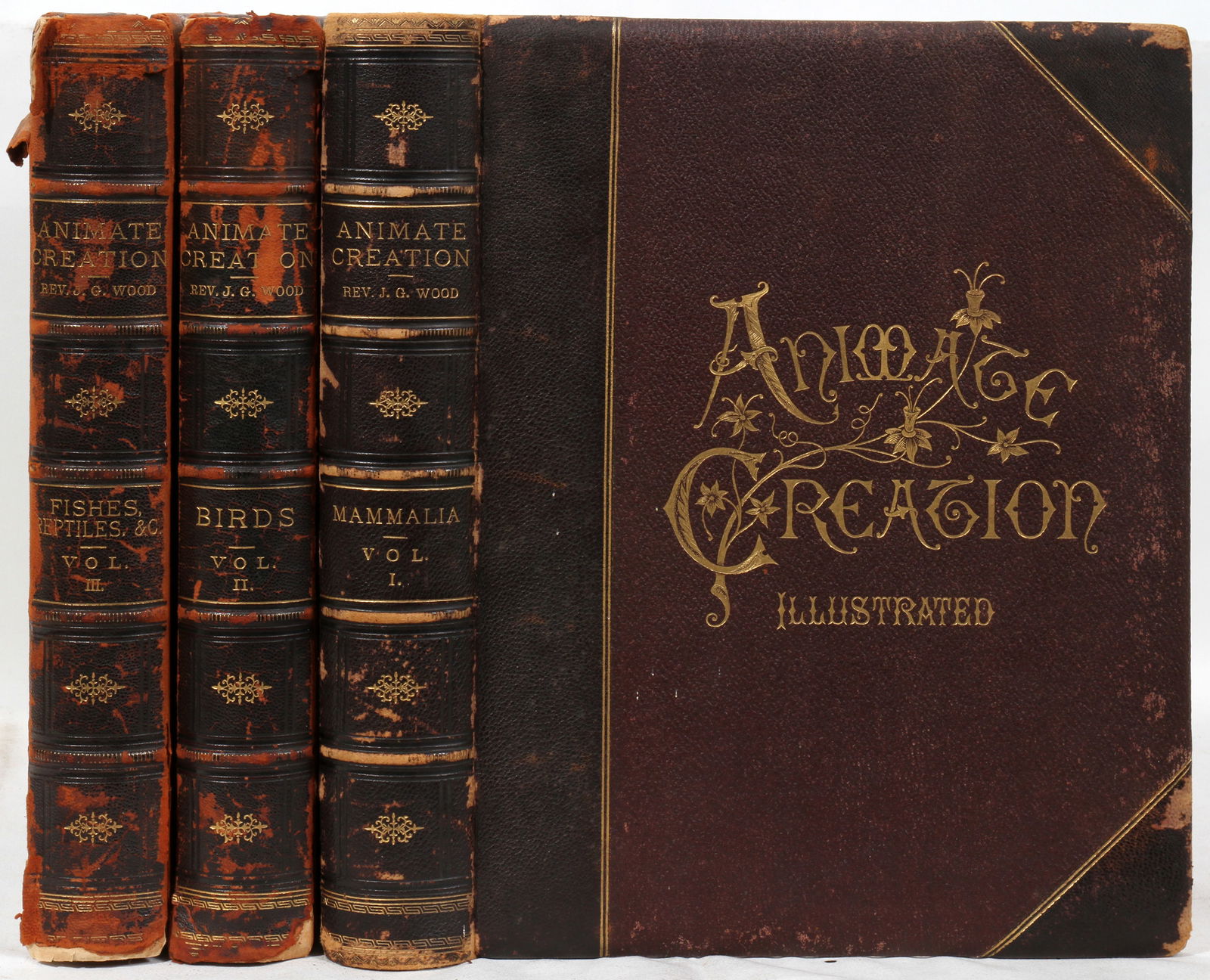 Animate Creation "Our Living World", J. G. Wood 1885, H 14'' SCIENCE AND NATURE (1 of 3)