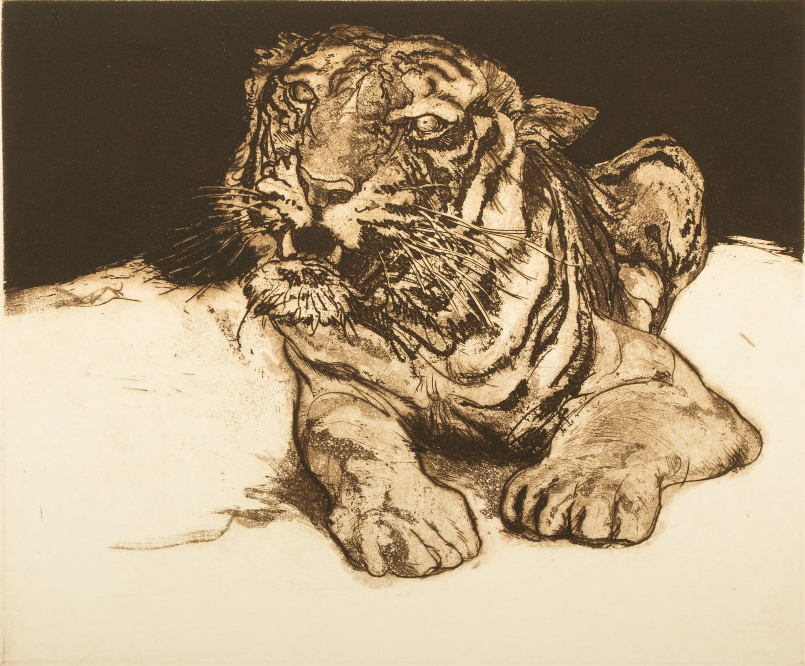 Jack Coughlin (American, B. 1932) Etching on BFK Rives Paper, "Tiger", H 7.25" W 8.75" (1 of 9)