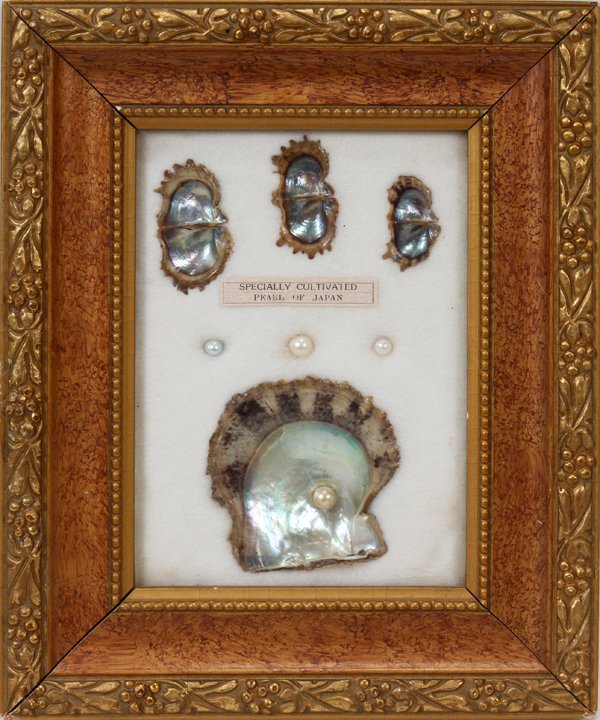 PEARL OF JAPAN SHADOW BOX, H 10", W 7": PEARL OF JAPAN SHADOW BOX, H 10", W 7":Featuring pearls of varying sizes mounted in shells.