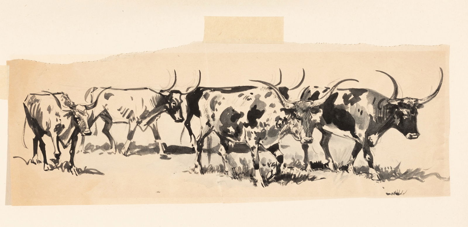 Edward Borein (american, 18721945) Ink And Pencil Sketches On Paper