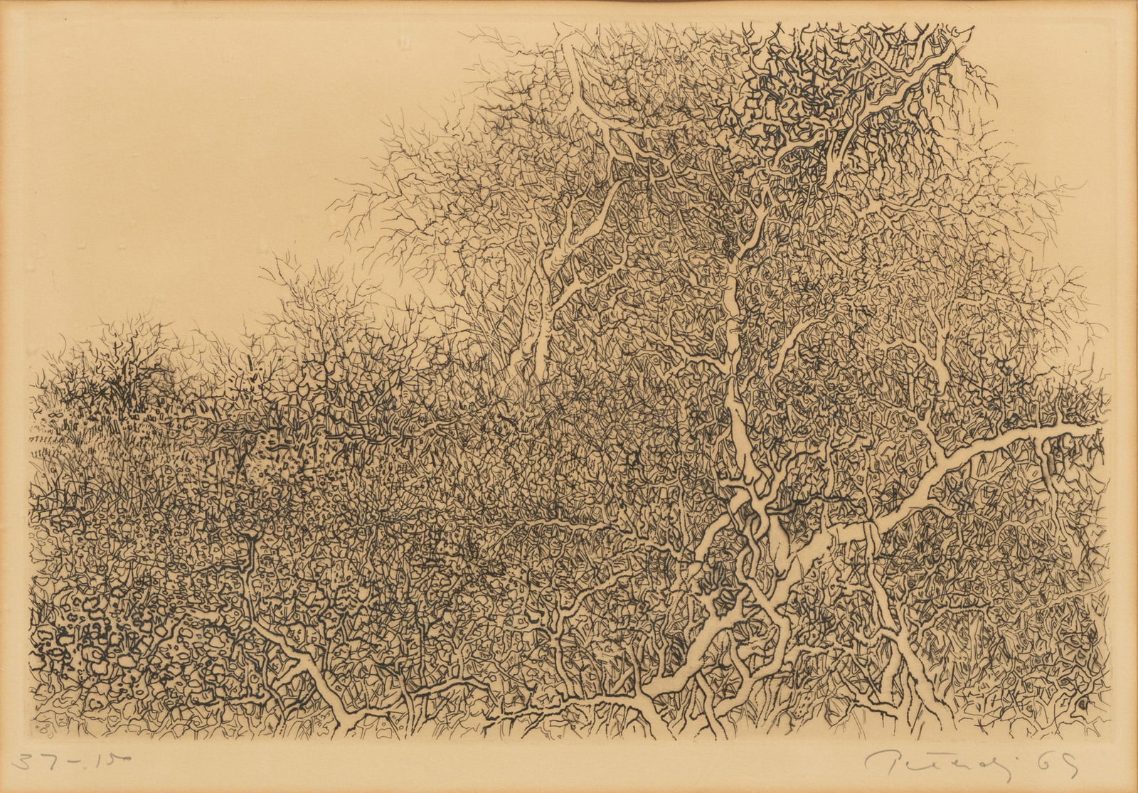 Gabor Peterdi (Hungarian-American, 1915-2001) Etchings on Paper, "Trees, Thicket", 2 pcs (1 of 6)