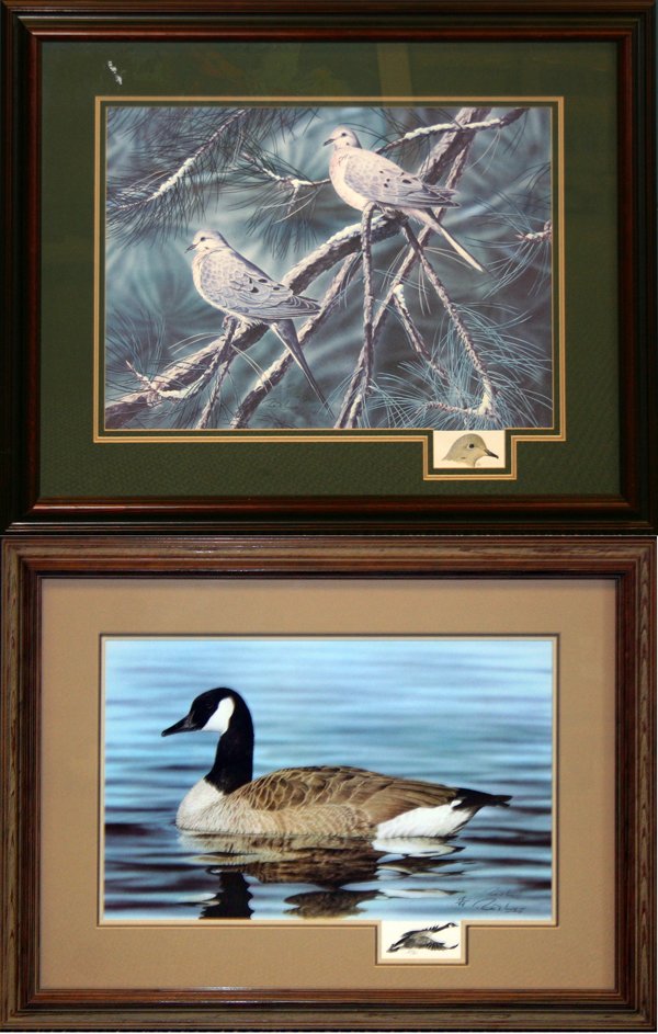 ROB GWYNN, REMARQUE PRINTS, TWO, 15" X 21": ROB GWYNN, REMARQUE PRINTS, TWO, 15" X 21" & 13" X 20", 'MOURNING DOVES' & 'GOOSE AT PEACE':Framed.