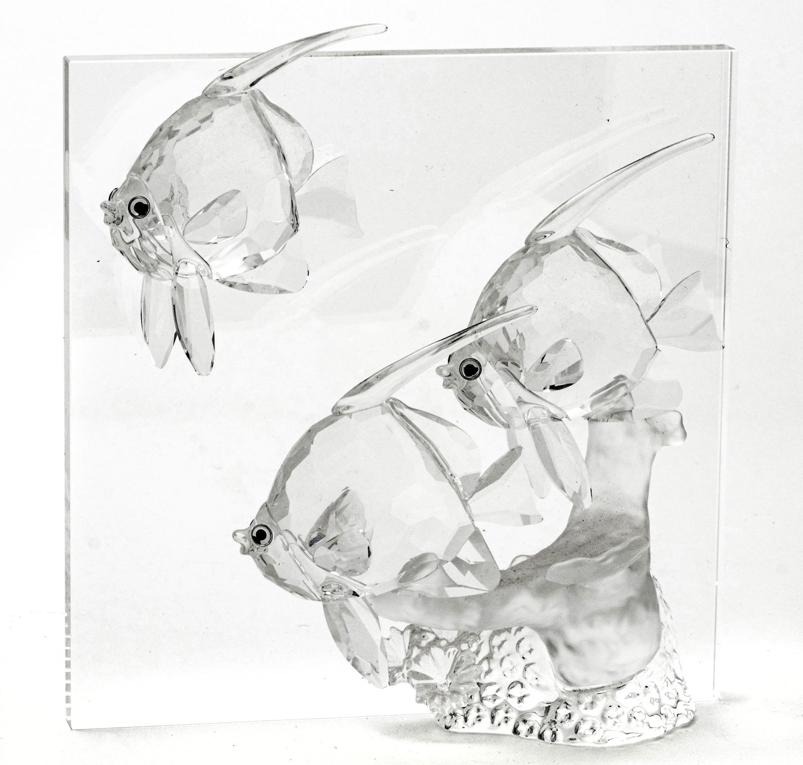 Swarovski (Austrian) Crystal Plaque 'Wonders of the Sea, Community' (1 of 6)