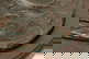 item-209419036=6