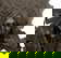 item-209419039=5