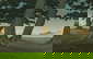 item-209419127=1