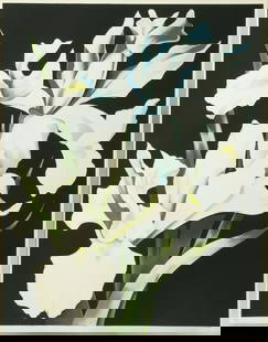Lowell Nesbitt (American, 1933-1993) Screenprint in Colors on Wove Paper 1978, 'White Iris', H 37.5": Lowell Nesbitt (American, 1933-1993) Screenprint in Colors on Wove Paper 1978, 'White Iris', H 37.5" W 29.5" Frame Size: H 52" W 44" Signed and dated in pencil lower right, numbered 68/200, with full