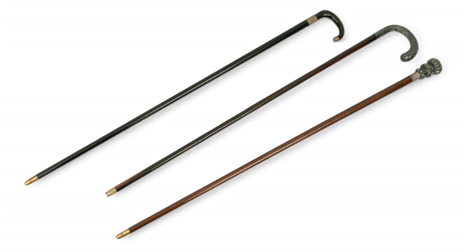 European Walking Sticks 3 PCS (1 of 4)