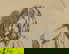 item-209419310=4