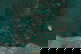 item-209419316=3