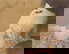 item-209419317=1