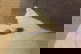 item-209419317=3