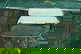item-209419320=4