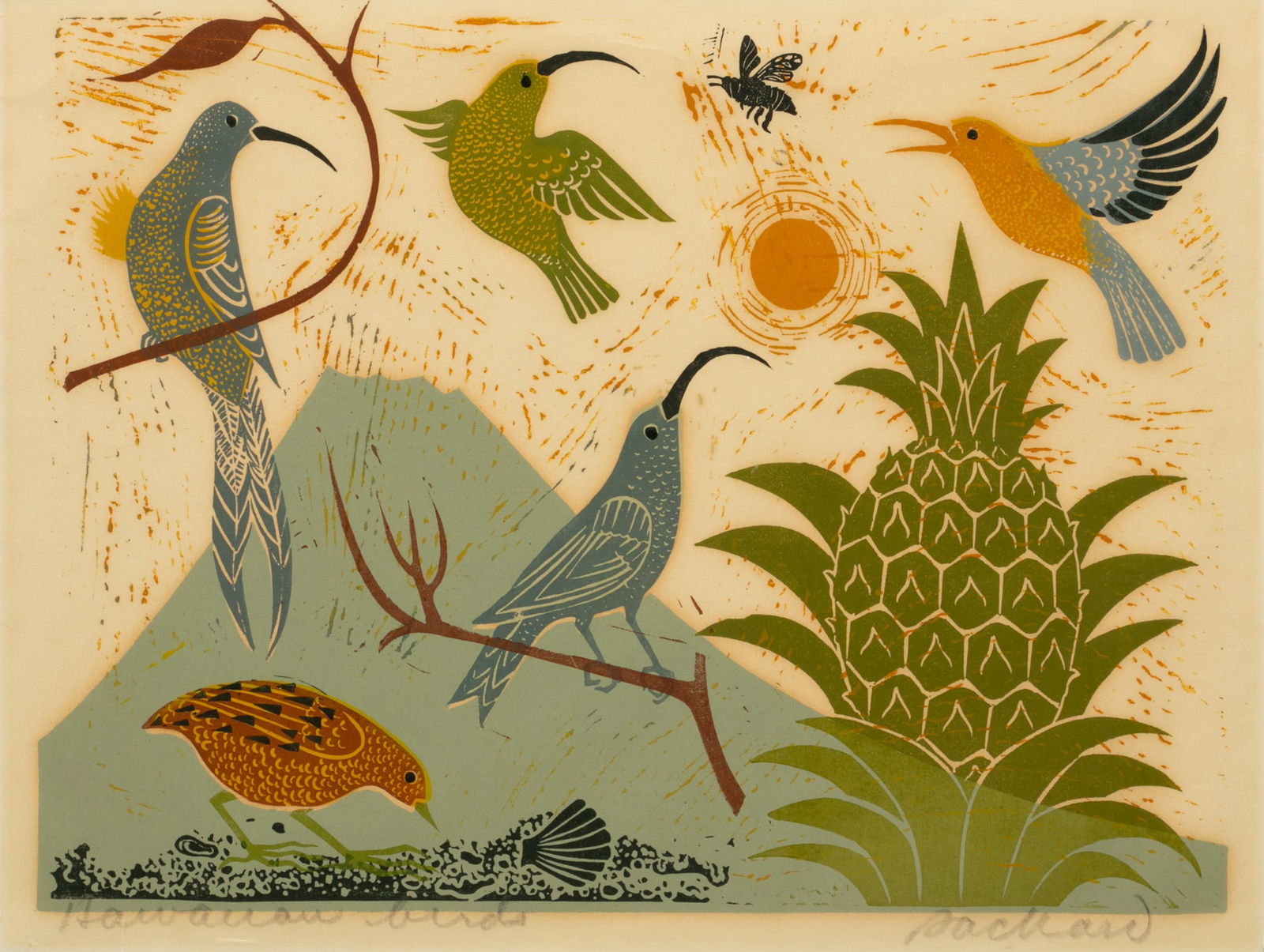 Emmy Lou Packard, (American, 1914-1998) Woodblock Print in Colors on Paper 'Hawaiian Birds', H 15" W (1 of 6)