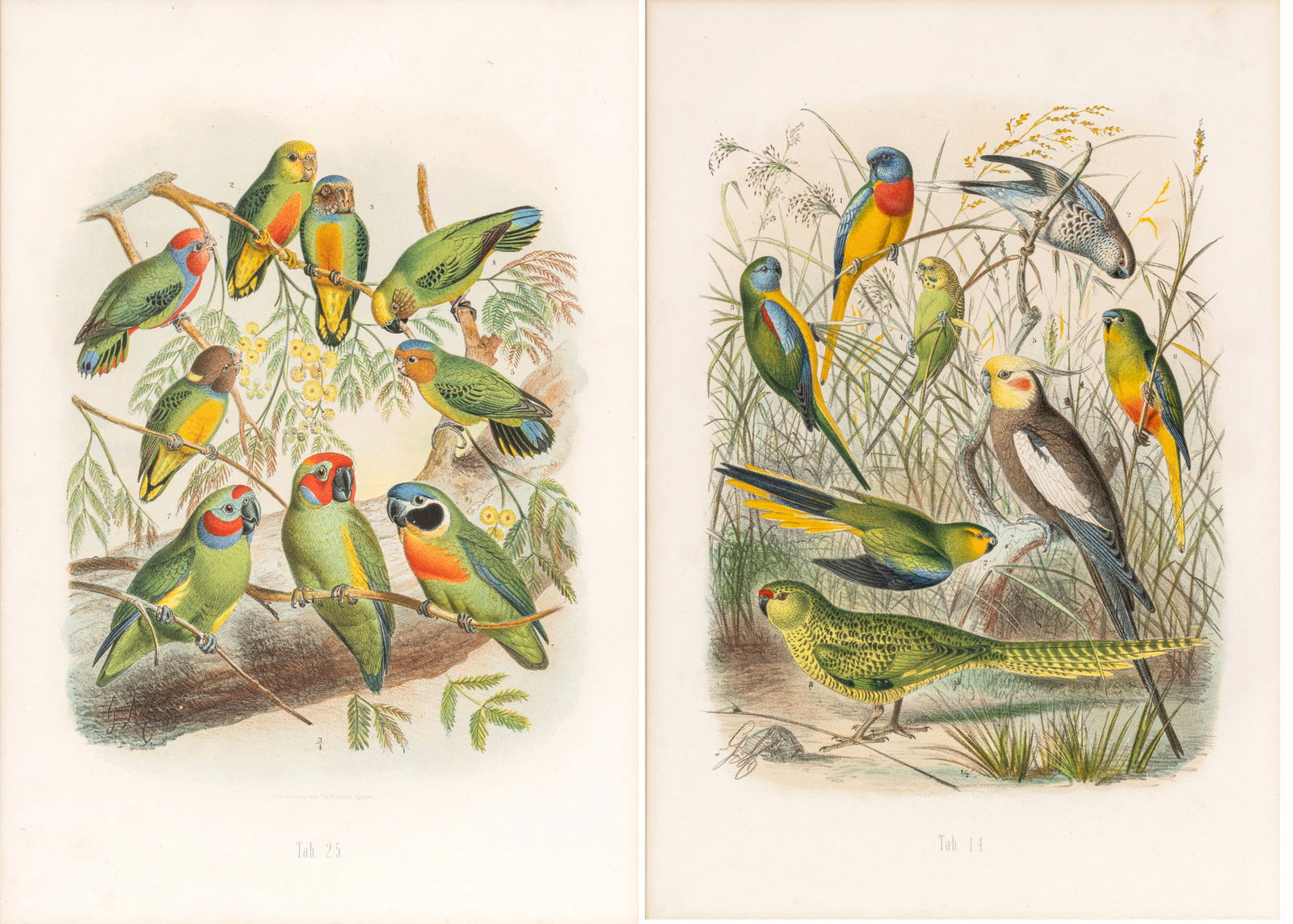 After Gustav Ludwig Heinrich Mützel (German, 1839-1893) Hand Colored Engravings on Paper, Ca. (1 of 14)