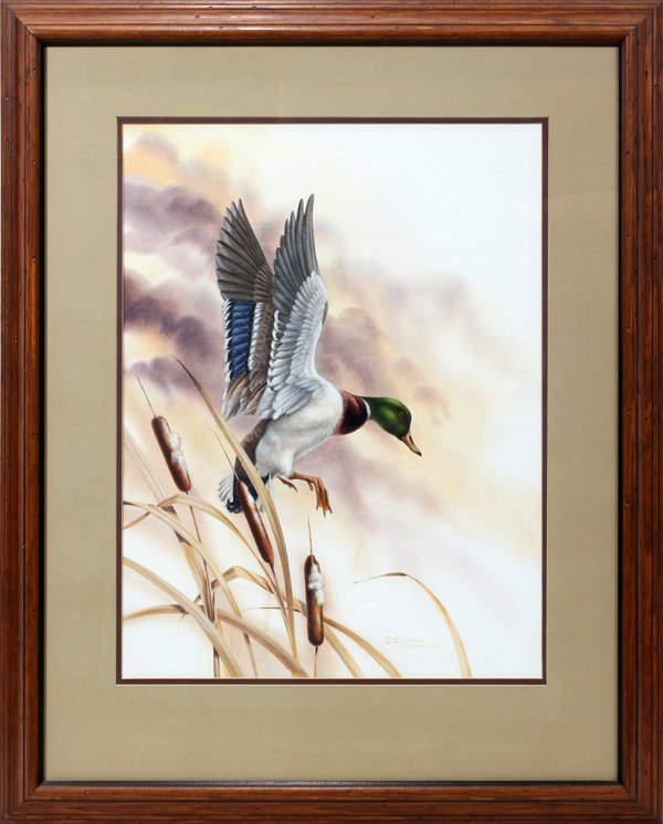 DIETMAR KRUMREY WATERCOLOR, DUCK IN FLIGHT: DIETMAR KRUMREY (GERMAN/AMERICAN, 20TH/21ST CENTURY), WATERCOLOR, 21" X 15", DUCK IN FLIGHT:Signed lower right & dated 1978. Matted and framed under glass. 21" x 15 1/2".